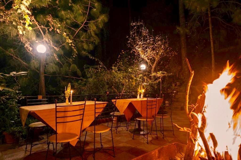 Nature View Resort !! A Four Star Lavish & Luxury Resort Chail Luaran gambar