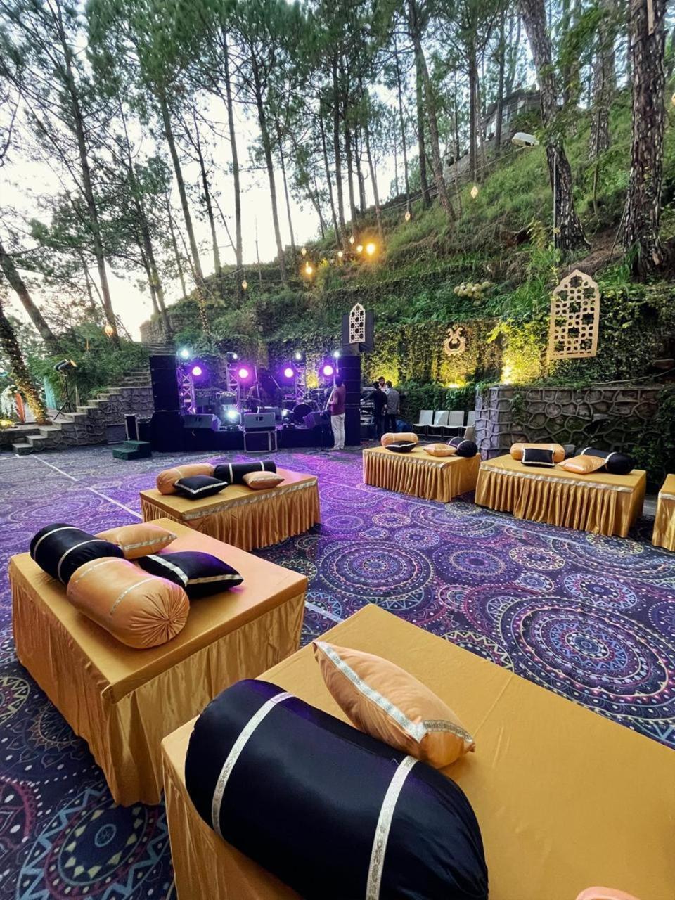 Nature View Resort !! A Four Star Lavish & Luxury Resort Chail Luaran gambar